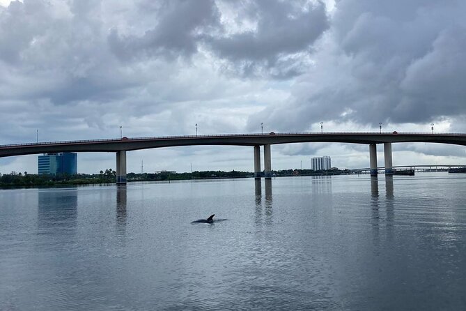 Dolphin and Manatee Stand Up Paddleboard Tour in Daytona Beach - Paddling the route: island circle, seven bridges, and canal wildlife spots