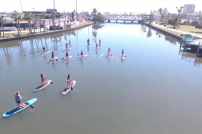 Dolphin and Manatee Stand Up Paddleboard Tour in Daytona Beach - Wildlife expectations: dolphins, manatees, and the season question