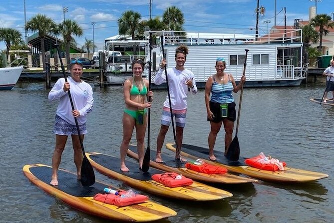 Dolphin and Manatee Stand Up Paddleboard Tour in Daytona Beach - Pace, safety, and group size: what 30 people means in practice