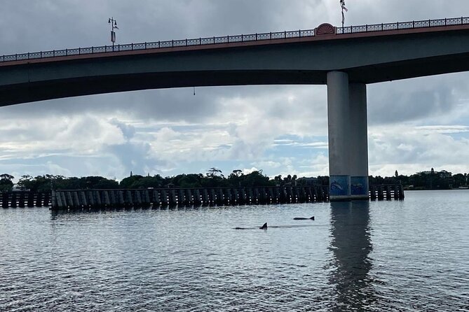 Dolphin and Manatee Stand Up Paddleboard Tour in Daytona Beach - Meeting at Three Brothers Boards and getting ready quickly