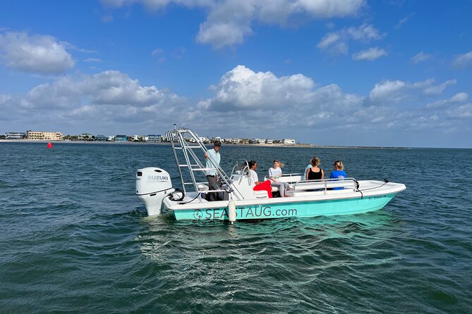Dolphin and Nature Boat Excursion - Why St. Augustine Dolphin Water Is a Year-Round Win