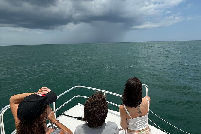 Dolphin and Nature Boat Excursion - The 1.5-Hour Rhythm: How the Dolphin Search Actually Plays Out
