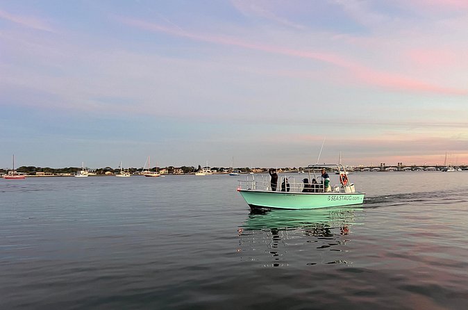 Dolphin and Nature Boat Excursion - Wildlife Watching That Works: Birds, Fish, and How to Spot Dolphins