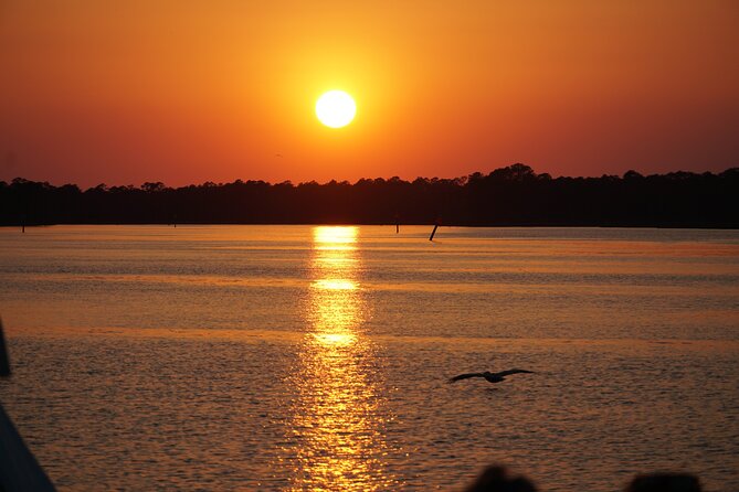 Dolphin and Nature Sunset Cruise from Orange Beach - What Makes This Cruise Worth Your $50