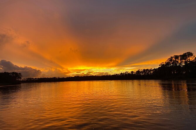 Dolphin and Nature Sunset Cruise from Orange Beach - Dolphin and Sunset Key Highlights