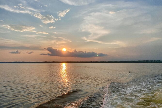 Dolphin and Nature Sunset Cruise from Orange Beach - Golden Hour Onboard: Cocktails, Music, and Comfort