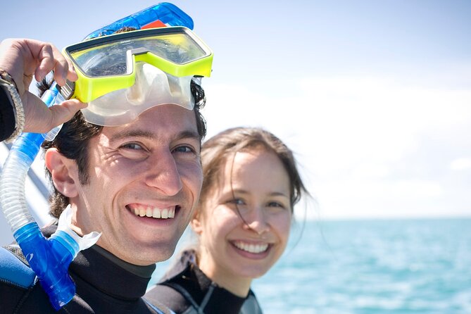 Dolphin and Seal snorkel adventure from Sorrento - What makes the price feel fair at about $150 per person
