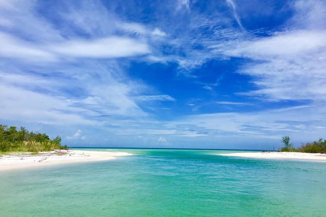Dolphin and Shelling Cruise for up to 12 people - Setting Out From Goodland and Marco Island