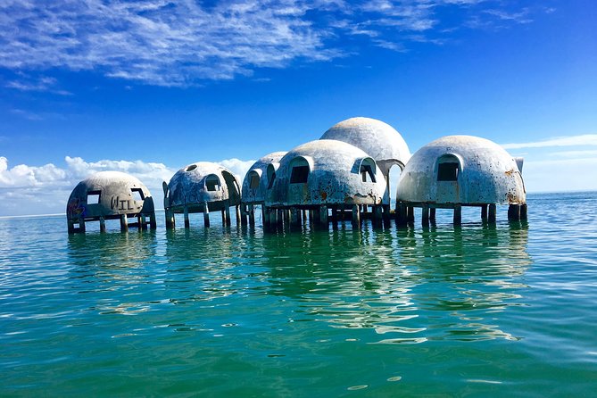 Dolphin and Shelling Cruise for up to 12 people - Dolphins and Manatees: What You Can Expect (and What You Can’t Control)