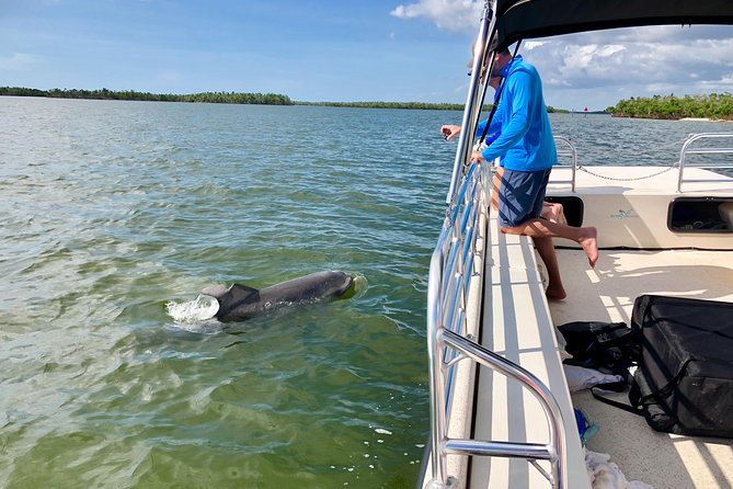Dolphin and Shelling Cruise for up to 12 people - Guide Style: Why the Commentary Changes the Feeling