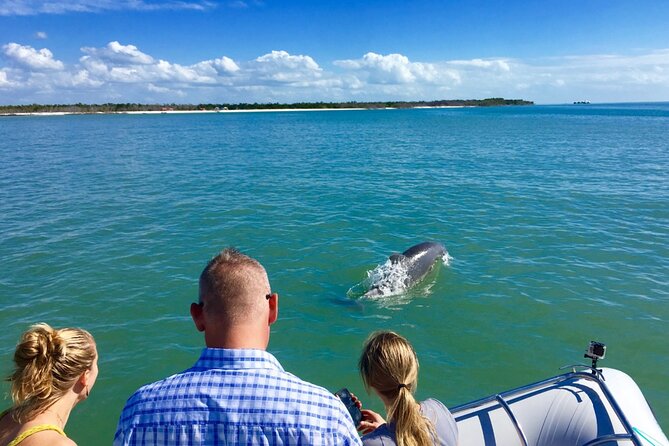 Dolphin and Shelling Cruise for up to 12 people - Who This Tour Fits Best