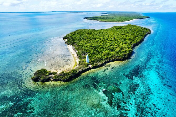 Dolphin and Tumbatu Island Snorkeling Tour with Pickup - Key things I’d mark on your mental map