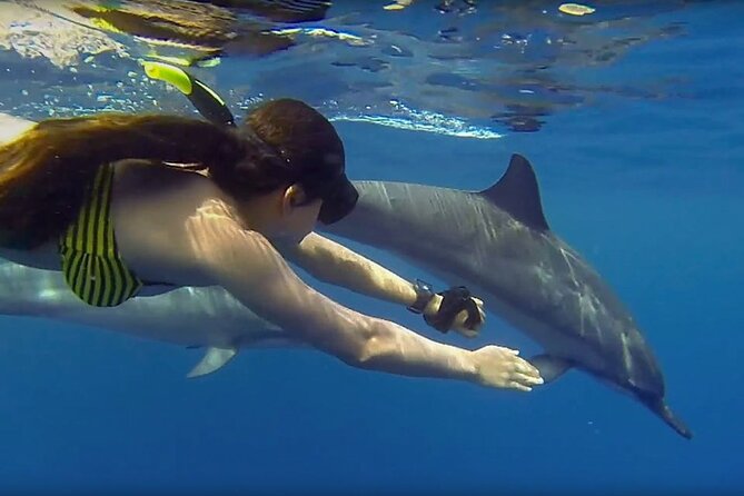 Dolphin and Tumbatu Island Snorkeling Tour with Pickup - Weather and Physical Comfort: The Two Real Constraints