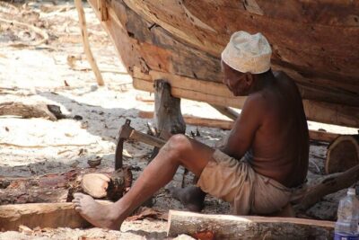 Dolphin and Turtle Tour with Sunset Cruise at Nungwi Beach - Mnemba Morning: Dolphins, Coral Snorkeling, and the Matemwe Fishing Village
