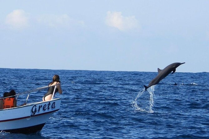 Dolphin and Whale Watching Boat Trip in Puerto Escondido - Key Things That Make This Trip Worth Your Time
