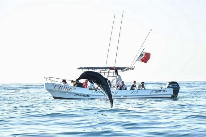 Dolphin and Whale Watching Boat Trip in Puerto Escondido - Who This Tour Fits Best