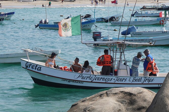 Dolphin and Whale Watching Boat Trip in Puerto Escondido - Dolphins as the Main Event (and How to Think About Whale and Manta Chances)