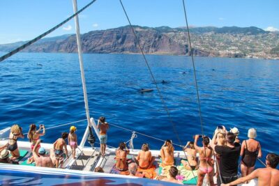 Dolphin and Whale Watching Catamaran Cruise from Funchal - From Praça do Povo to the Atlantic: how the timing works