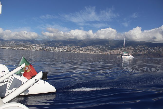 Dolphin and Whale Watching Catamaran Cruise from Funchal - On-board comfort: bar, toilets, and avoiding the “packed” feeling