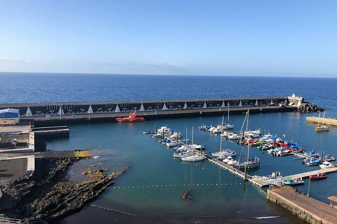 Dolphin and Whale Watching in La Restinga - Price and value: is $54.17 worth a half-day?
