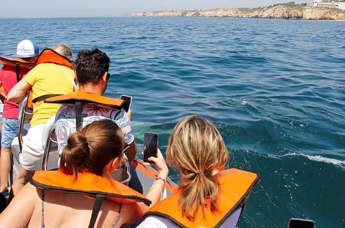 Dolphin and Whale Watching in Lagos - Who This Tour Suits Best in Lagos (and Who Might Skip It)