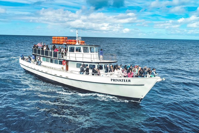 Dolphin and Whale Watching Sunset Cruise - Mission Bay at dusk: why this cruise works