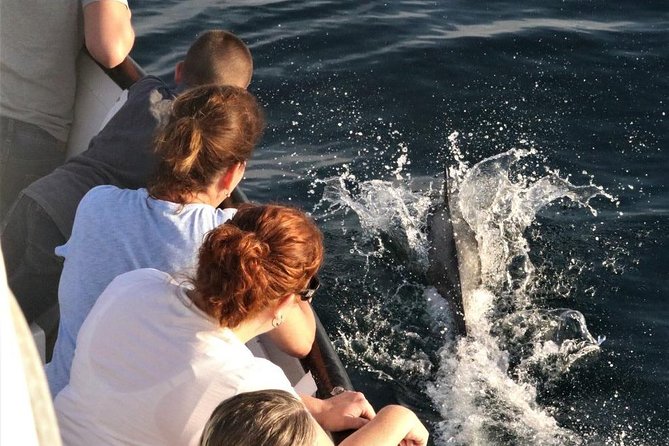 Dolphin and Whale Watching Sunset Cruise - The crew and the stories: what you’ll hear as you watch