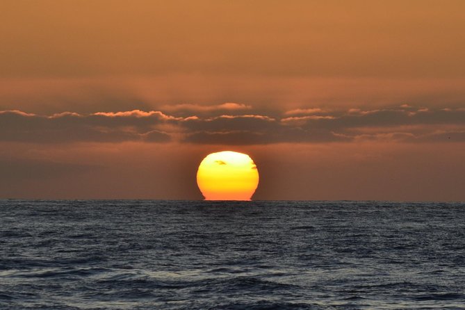 Dolphin and Whale Watching Sunset Cruise - What to wear and bring (this part matters)