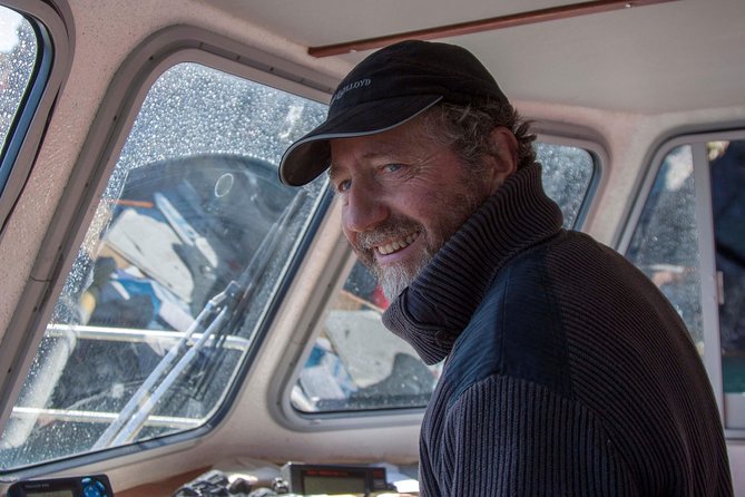 Dolphin and Whale Watching Tour from Dingle - Dingle Bay to the Blasket Islands: why this cruise feels better than a big boat