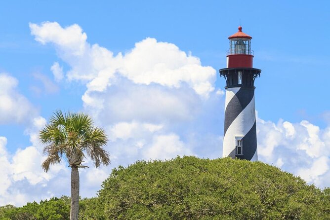 Dolphin and Wildlife Adventure of St. Augustine - Key Things to Know Before You Go