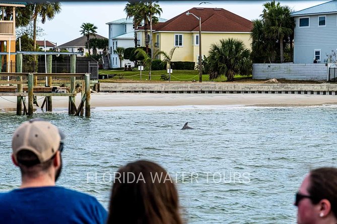 Dolphin and Wildlife Adventure of St. Augustine - The Cruise Route: Lighthouse Pass, Bridge of Lions Pirate View, and Fort-Area Stops