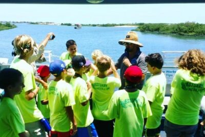 Dolphin and Wildlife Adventure of St. Augustine - Wildlife Expectations: Dolphins, Manatees, Sea Turtles, and Sea Birds