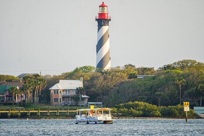 Dolphin and Wildlife History Tour - Who this tour is best for (and who should reconsider)