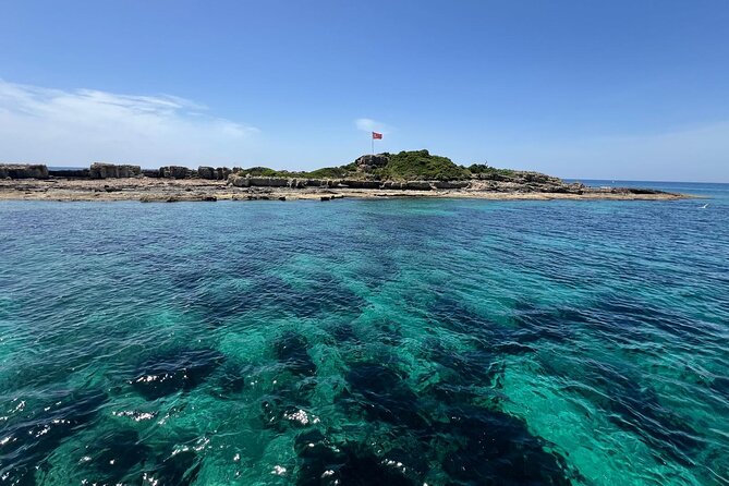 Dolphin Boat Blue Laguna With Rivertrip - Dolphin Island chances: what to expect without the hype