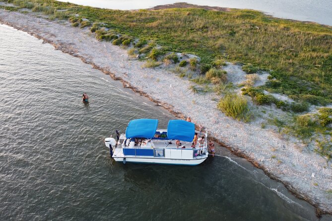 Dolphin Boat Tour from Folly Beach to Morris Island - Should you book this Folly Beach dolphin and Morris Island tour?