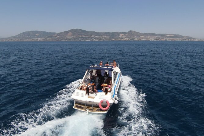 Dolphin Boat Trip in Benalmadena - Price and value: is $54.22 worth it?
