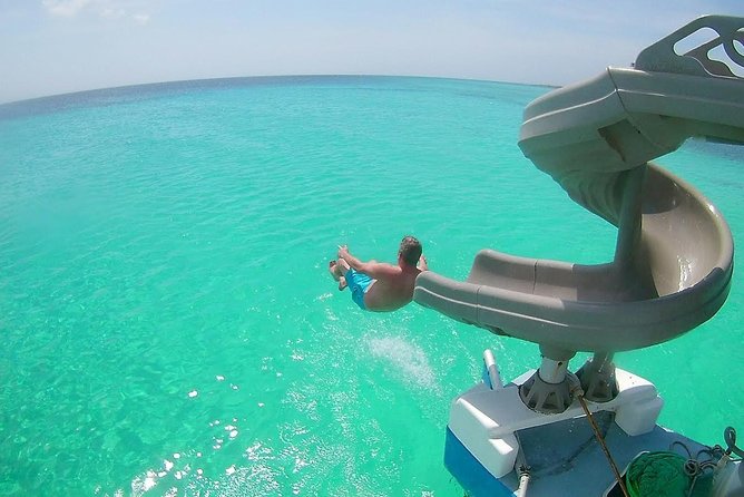 Dolphin Catamaran Snorkel and Sail with Open Bar - Quick hits before you go