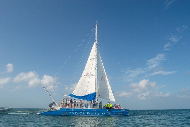Dolphin Catamaran Snorkel and Sail with Open Bar - The ride out: sailing time, guided spotting, and the “Antilla” plan