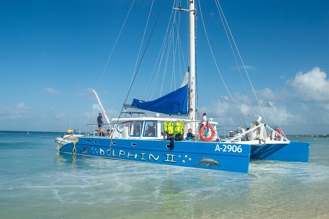 Dolphin Catamaran Snorkel and Sail with Open Bar - Snorkel stop two in Boca Catalina Bay: reef time and the slide-and-swing payoff