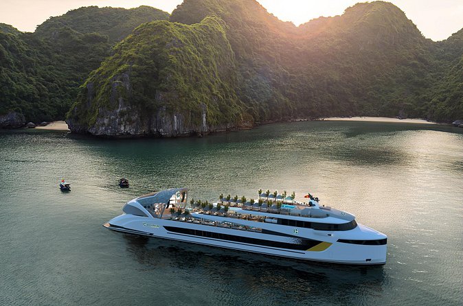Dolphin Cruise – Experience Halong Bay in Timeless Luxury - Hang Luon Cave by Kayak or Sampan: Control vs Relax