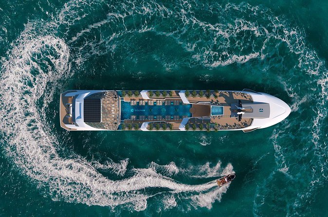 Dolphin Cruise – Experience Halong Bay in Timeless Luxury - Should You Book the Dolphin Cruise?