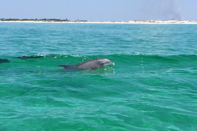 Dolphin Cruise in Destin FL - Getting set up: HarborWalk Village and the 314 Harbor Blvd meeting spot