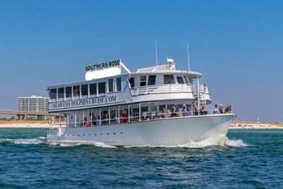 Dolphin Cruise in Orange Beach Alabama - Spotting Bottlenose Dolphins (Without the Swim)