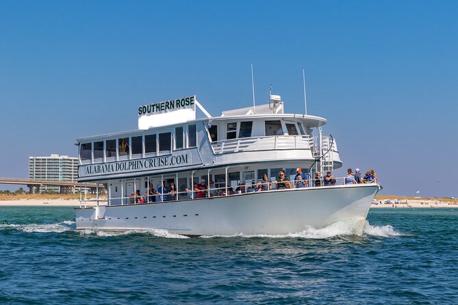 Dolphin Cruise in Orange Beach Alabama - Spotting Bottlenose Dolphins (Without the Swim)