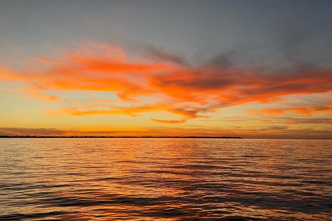 Dolphin cruise in Santa Rosa Beach - Pricing That Makes Sense for Groups (and When It Doesn’t)