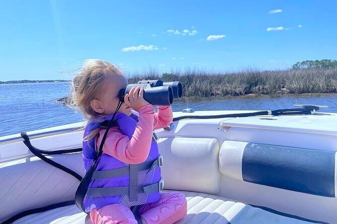 Dolphin cruise in Santa Rosa Beach - Where This Fits in Your 30A Beach Day