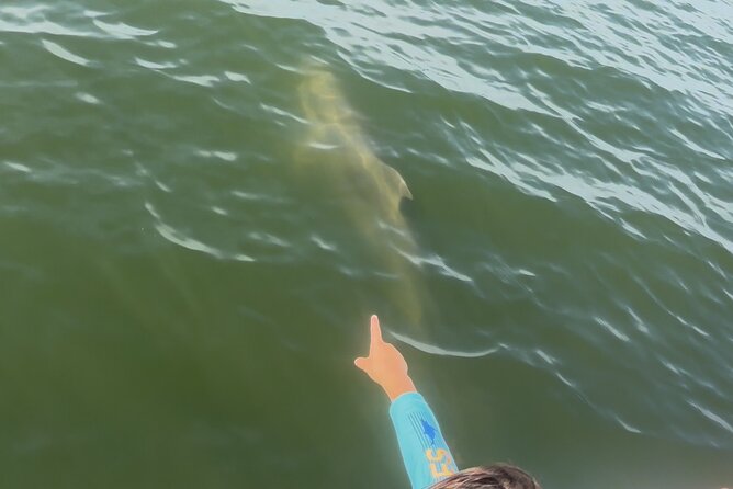 Dolphin cruise in Santa Rosa Beach - Meeting Point Reality Check: Start Where the Tour Starts