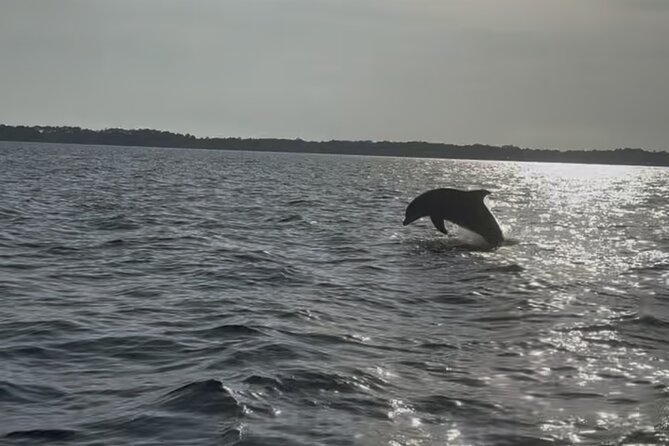 Dolphin cruise in Santa Rosa Beach - Dolphin Sightings: How the Captain Keeps the Trip Moving