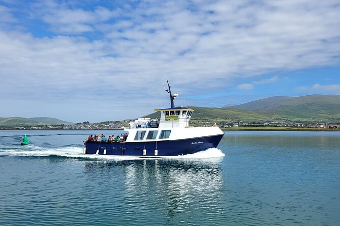 Dolphin Discovery Eco Tour - Price Check: Is $54.19 Good Value for a 2-Hour Eco Cruise?