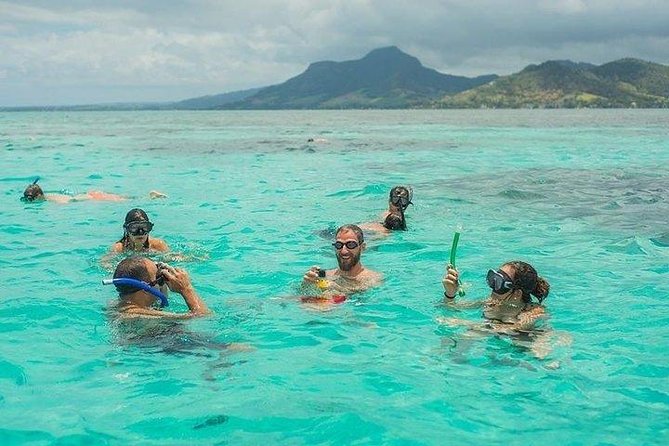 Dolphin Encounters, Ile aux Benitier & Crystal rock: Full-Day (Lunch & Transfer) - Ile aux Benitiers BBQ Lunch and Beach Downshift